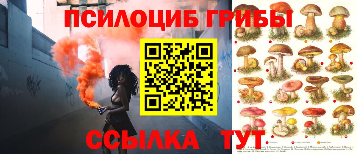 Анжеро-Судженск  Псилоцибиновые грибы мицелий  Вход с VPN  Галлюциногенные грибы мицелий 